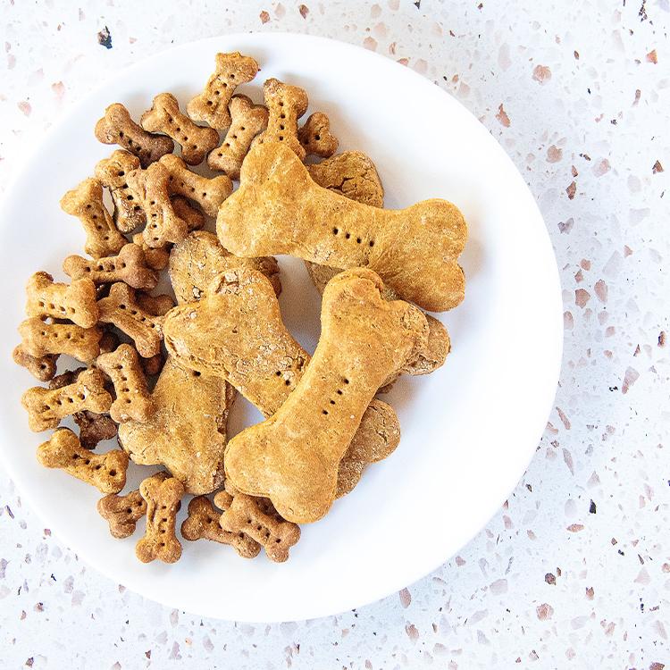 Mommy and Me: Pumpkin Dog Treats